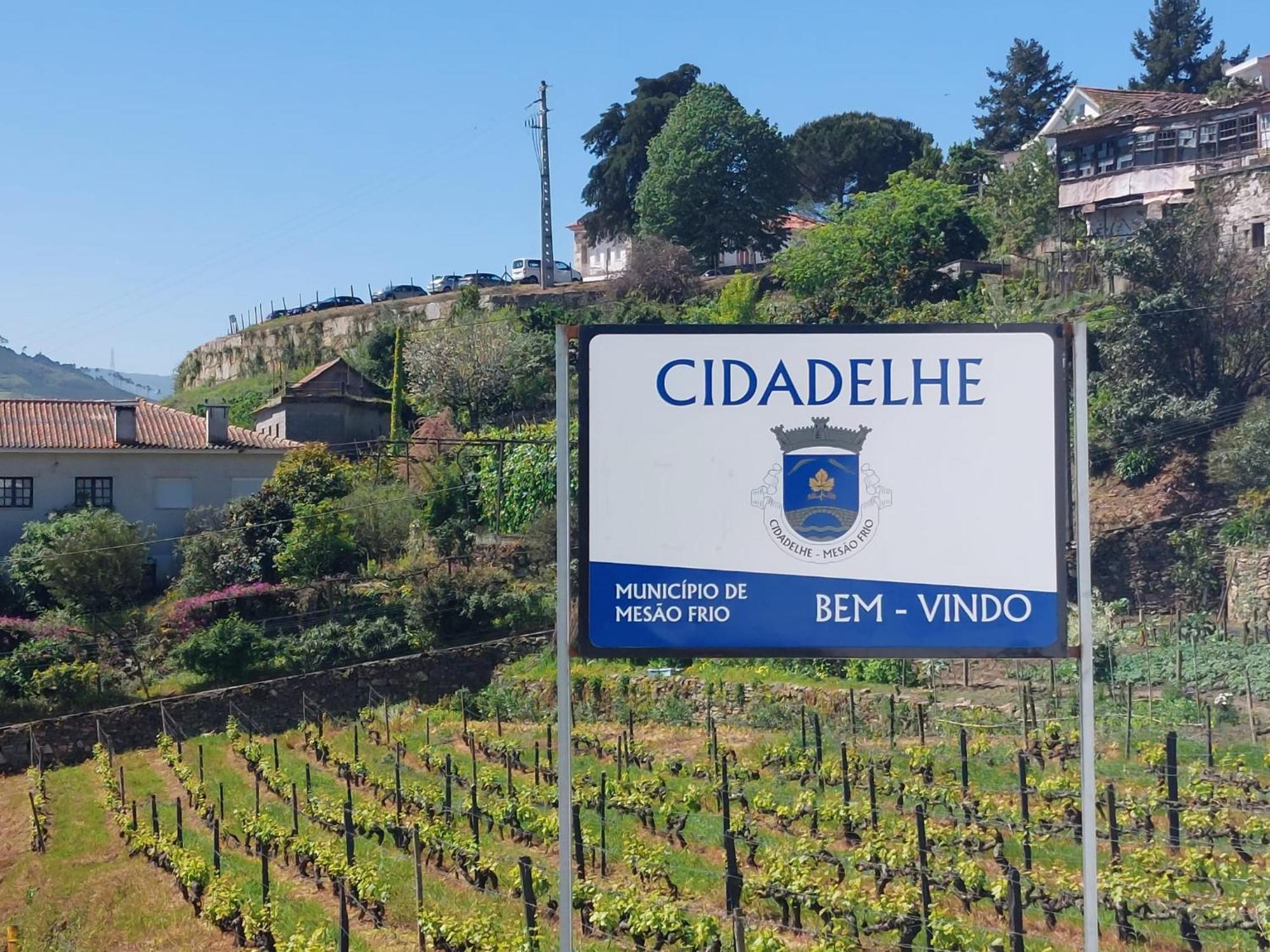 Villa Casa Cecí Douro Cidadelhe  Exterior foto